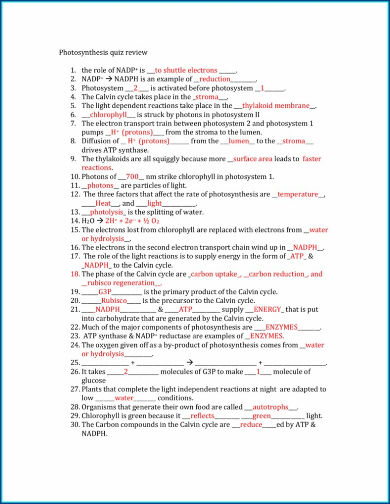 Calvin Cycle Review Worksheet Answers Worksheet Resume Examples