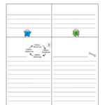 Carbon And Nitrogen Cycle Video Worksheet docx Amoeba Sisters Video