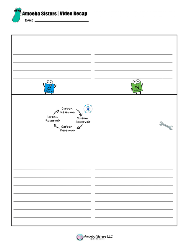 Carbon And Nitrogen Cycle Video Worksheet docx Amoeba Sisters Video 