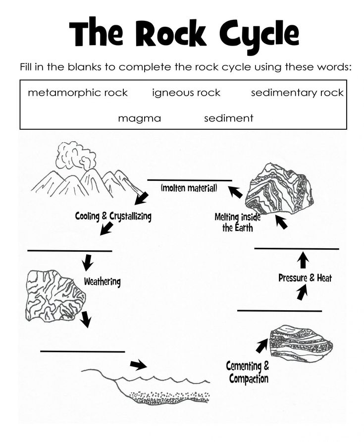 Carbon Cycle Diagram Worksheet The Rock Cycle Diagrams Printables 