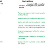 Carbon Cycle Gizmo Answer Key 2021 FREE Unlocks Inside