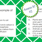 CARBON CYCLE LESSON PLAN A COMPLETE SCIENCE LESSON USING THE 5E