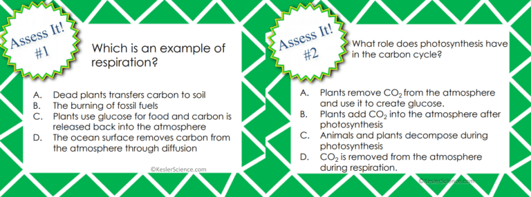 CARBON CYCLE LESSON PLAN A COMPLETE SCIENCE LESSON USING THE 5E 