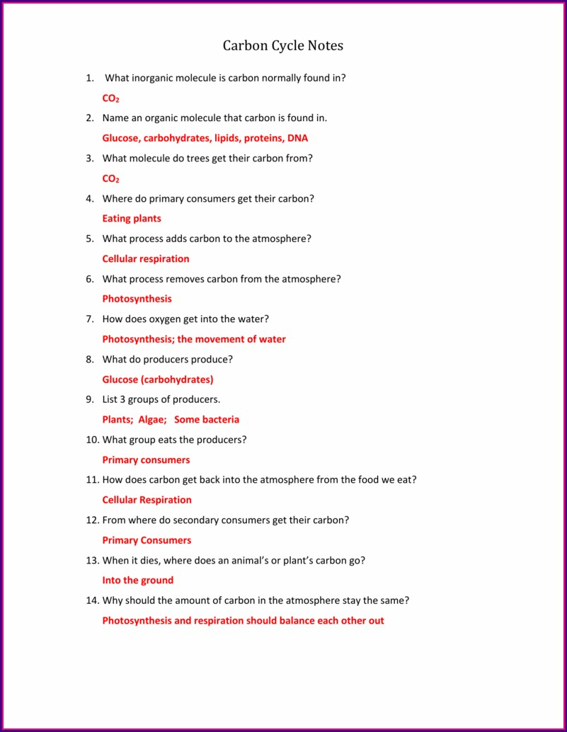 Carbon Cycle Review Worksheet Answers Worksheet Resume Examples