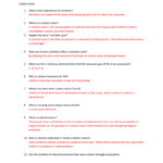 Carbon Cycle Worksheet Answer Key Db excel