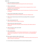 Carbon Cycle Worksheet Answer Key Db excel