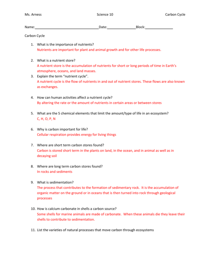 Carbon Cycle Worksheet Answer Key Db excel