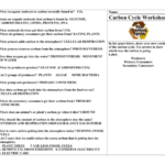 Carbon Cycle Worksheet Answer Key Db excel