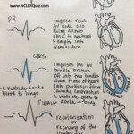 Cardiac Cycle Phases Of Cardiac Cycle Cardiac Cycle ECG For Nursing