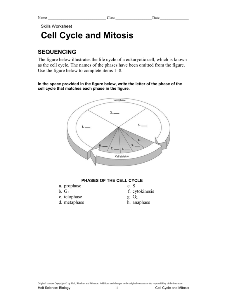 Cell Cycle And Mitosis SEQUENCING