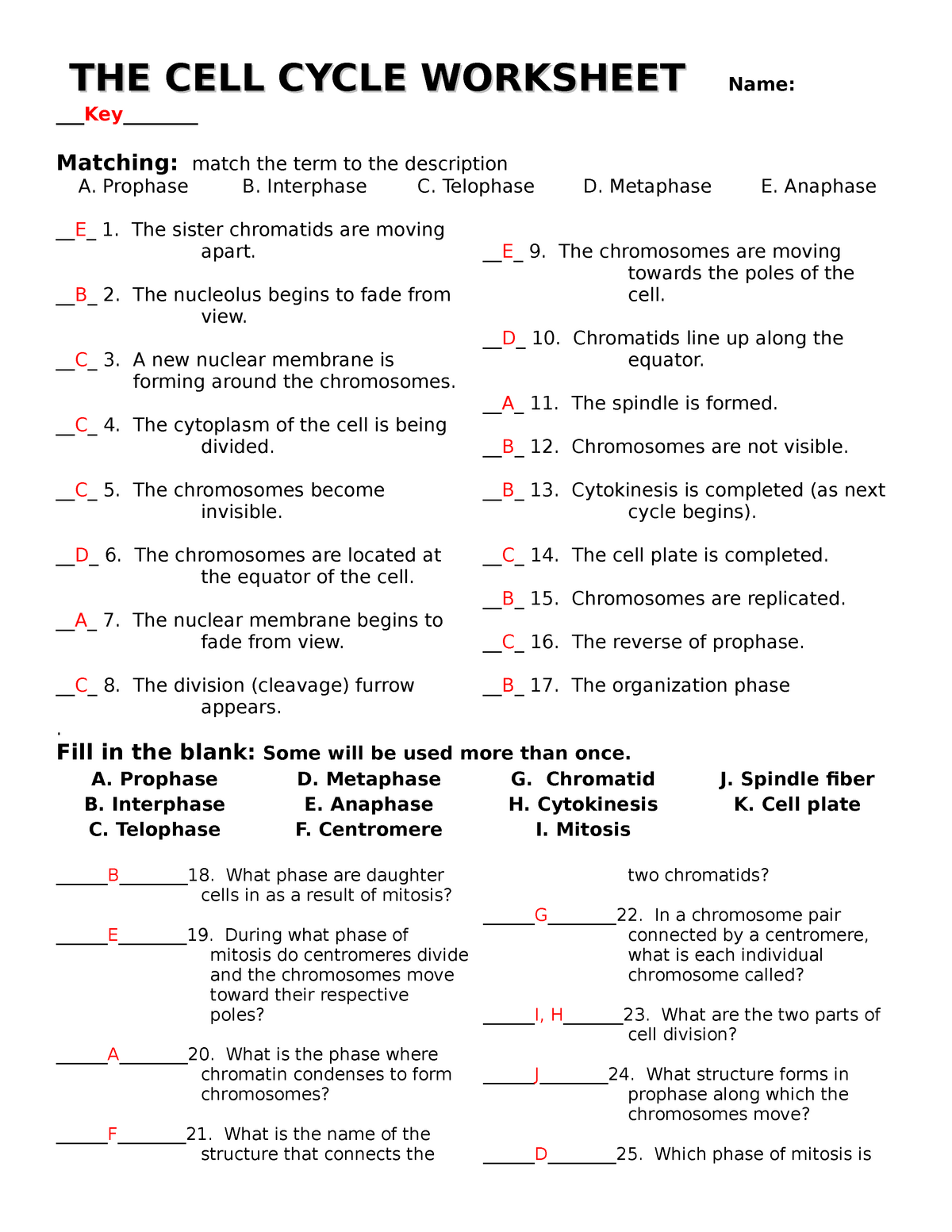 Cell Cycle Mitosis Coloring Worksheet Answer Key My PDF Collection 2021