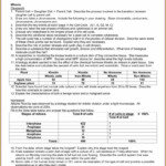 Cell Cycle Regulation Worksheet Answer Key Pogil Worksheet Resume