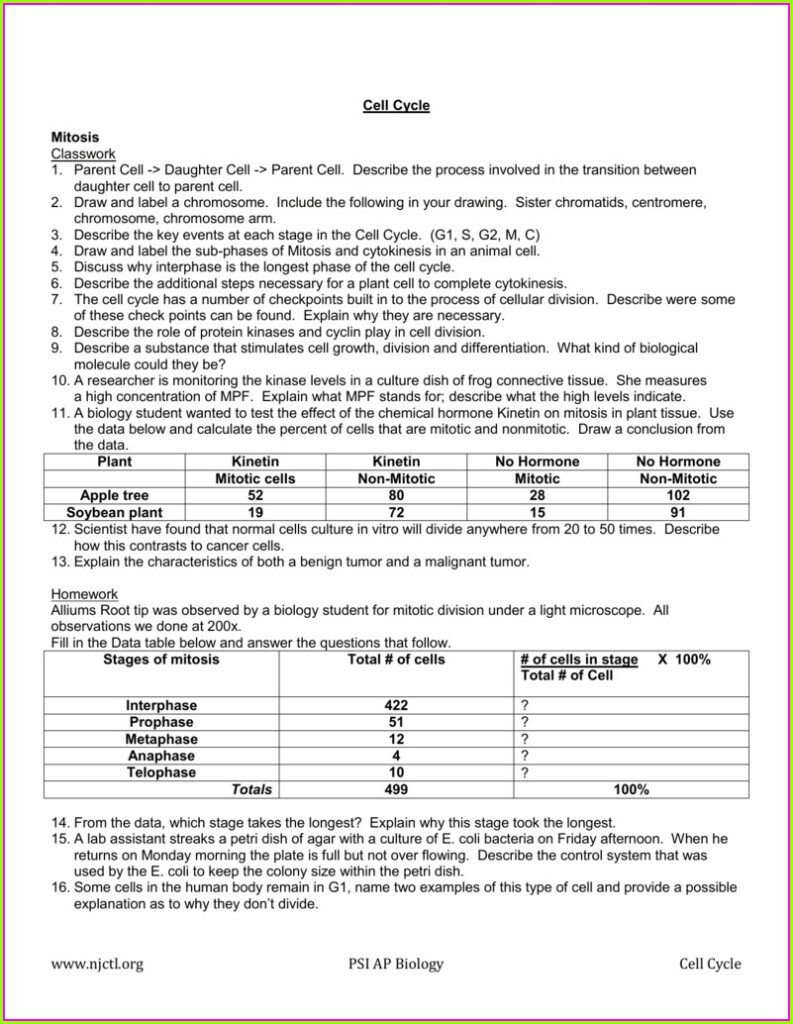 Cell Cycle Regulation Worksheet Answer Key Pogil Worksheet Resume 