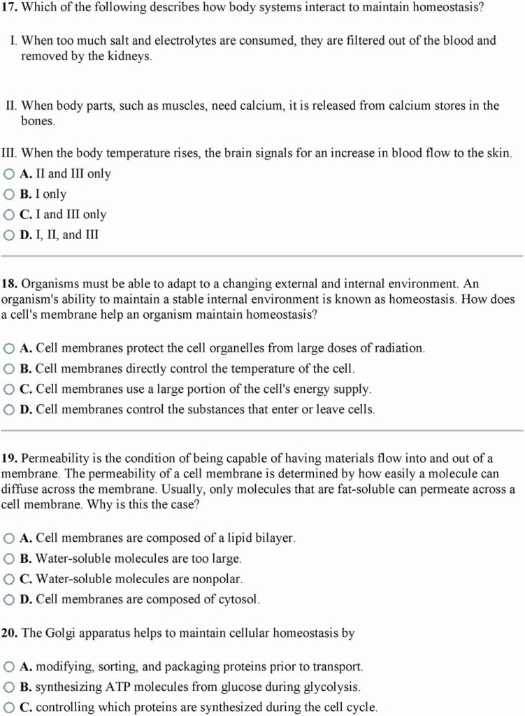 Cell Membrane And Transport Worksheet Answers