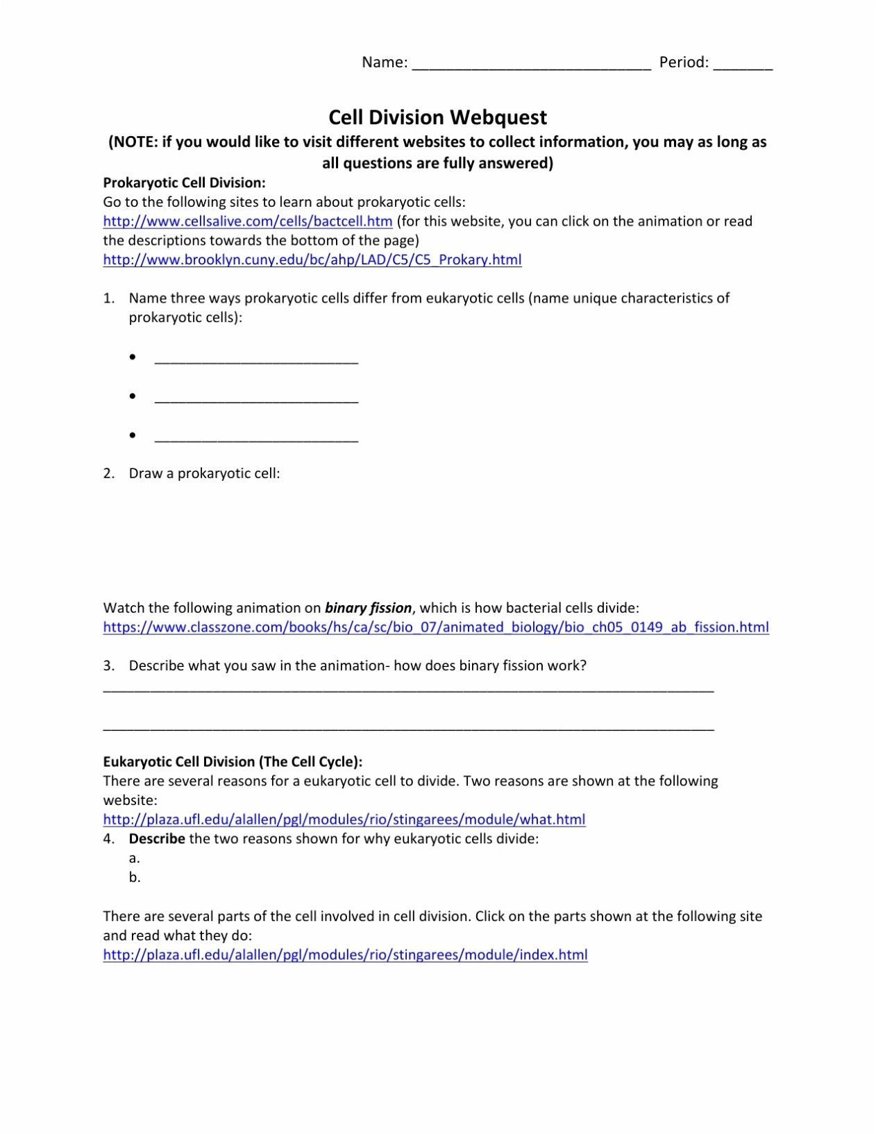 Cells Alive Plant Cell Worksheet Answer Key