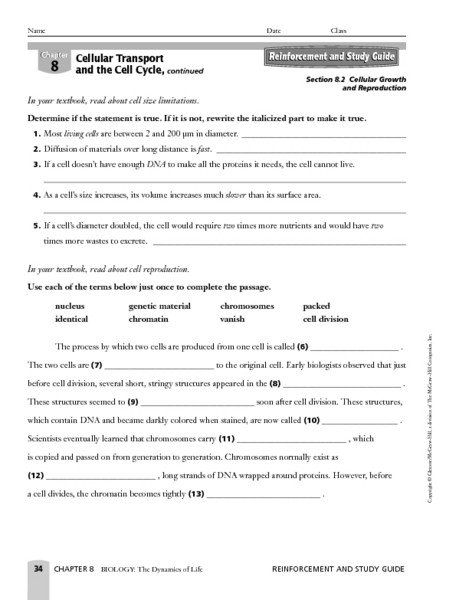 Cellular Transport Worksheet Answer Key Cellular Transport And The Cell 