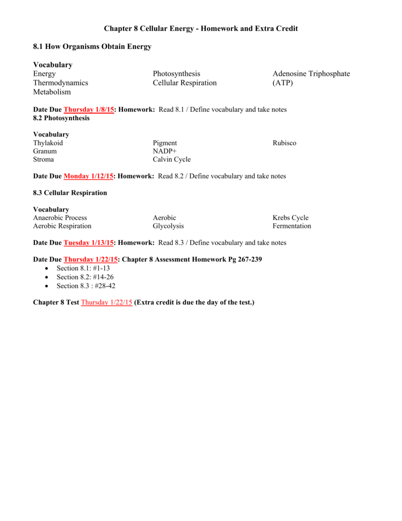 Chapter 8 Cellular Energy Homework And Vocabulary Worksheet