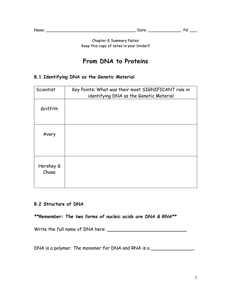 Chapter 8 From Dna To Protins From Dna To Protein Chapter 8 