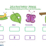 Circle Of Life Of A Butterfly Worksheet