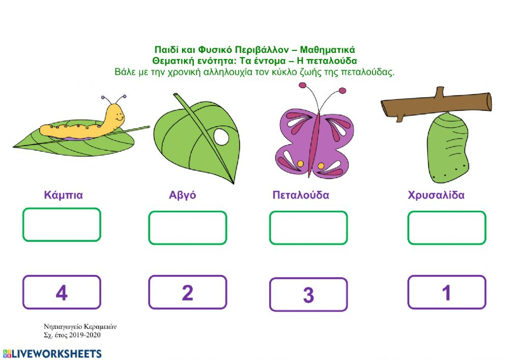 Circle Of Life Of A Butterfly Worksheet