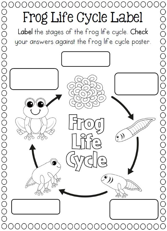 Crafts Actvities And Worksheets For Preschool Toddler And Kindergarten