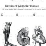 Cycle 3 4th Edition SCIENCE Weeks 1 24 Review Worksheets In 2020