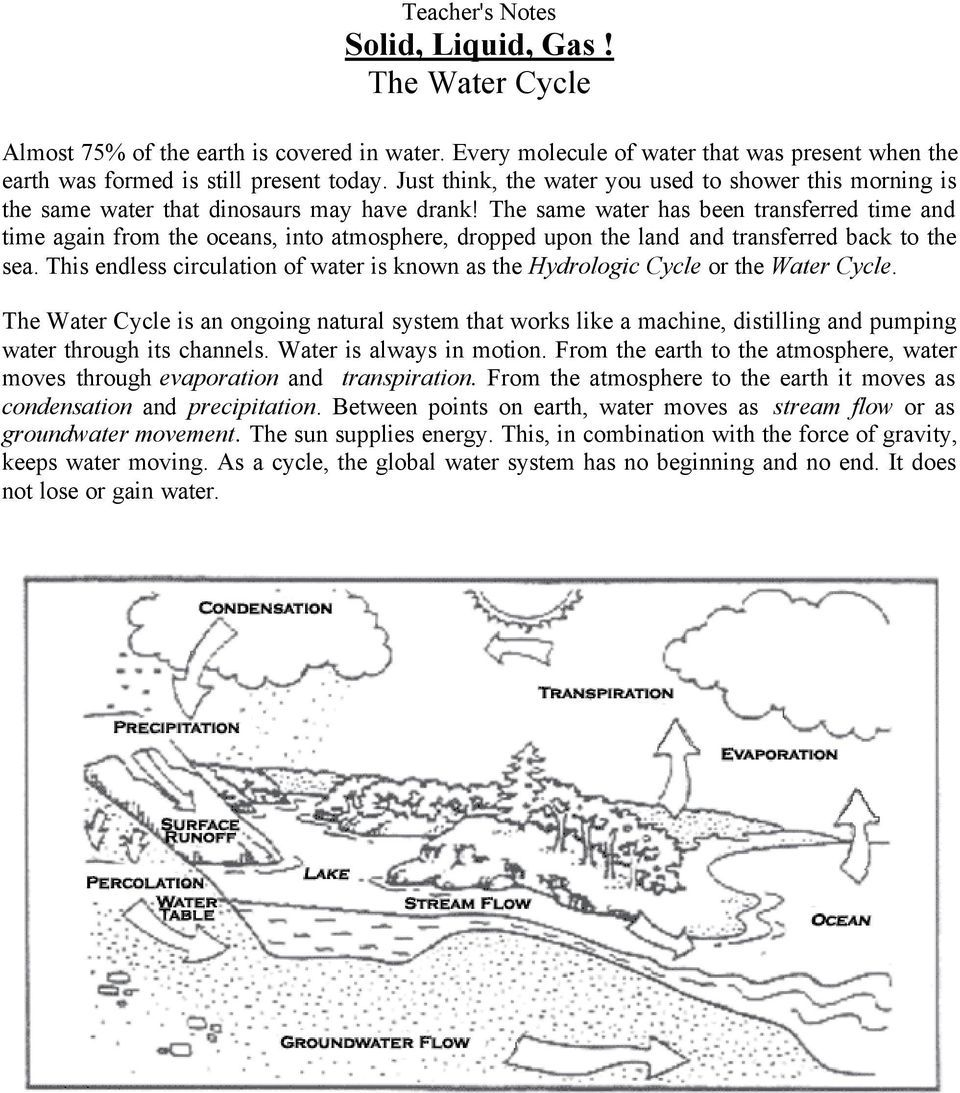 Cycles Of Matter Worksheet Answers