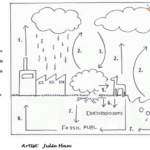 Ecology Cycles And Greenhouse