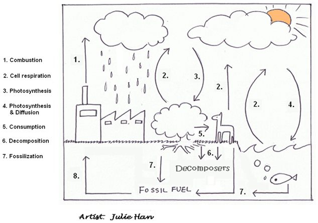 Ecology Cycles And Greenhouse