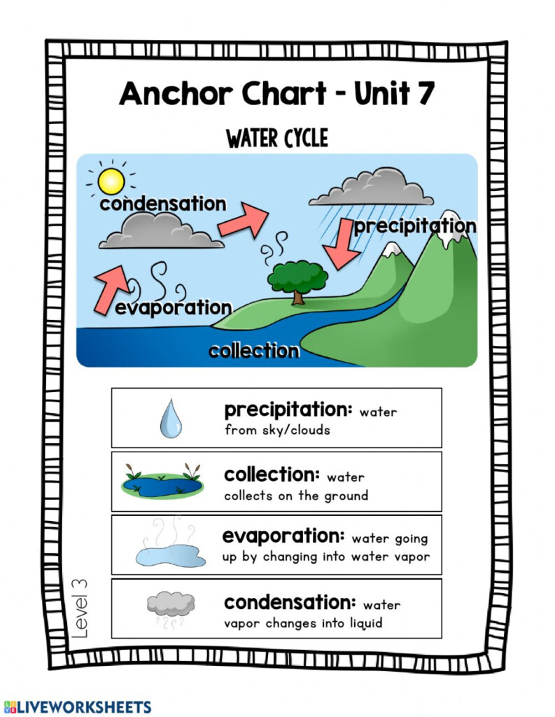 Ejercicio De The Water Cycle Day 3