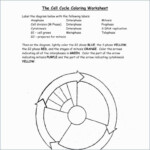 Energy Forms And Changes Simulation Worksheet Answers Db excel