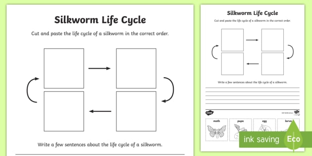 F 2 Silkworm Life Cycle Writing Worksheet Worksheet