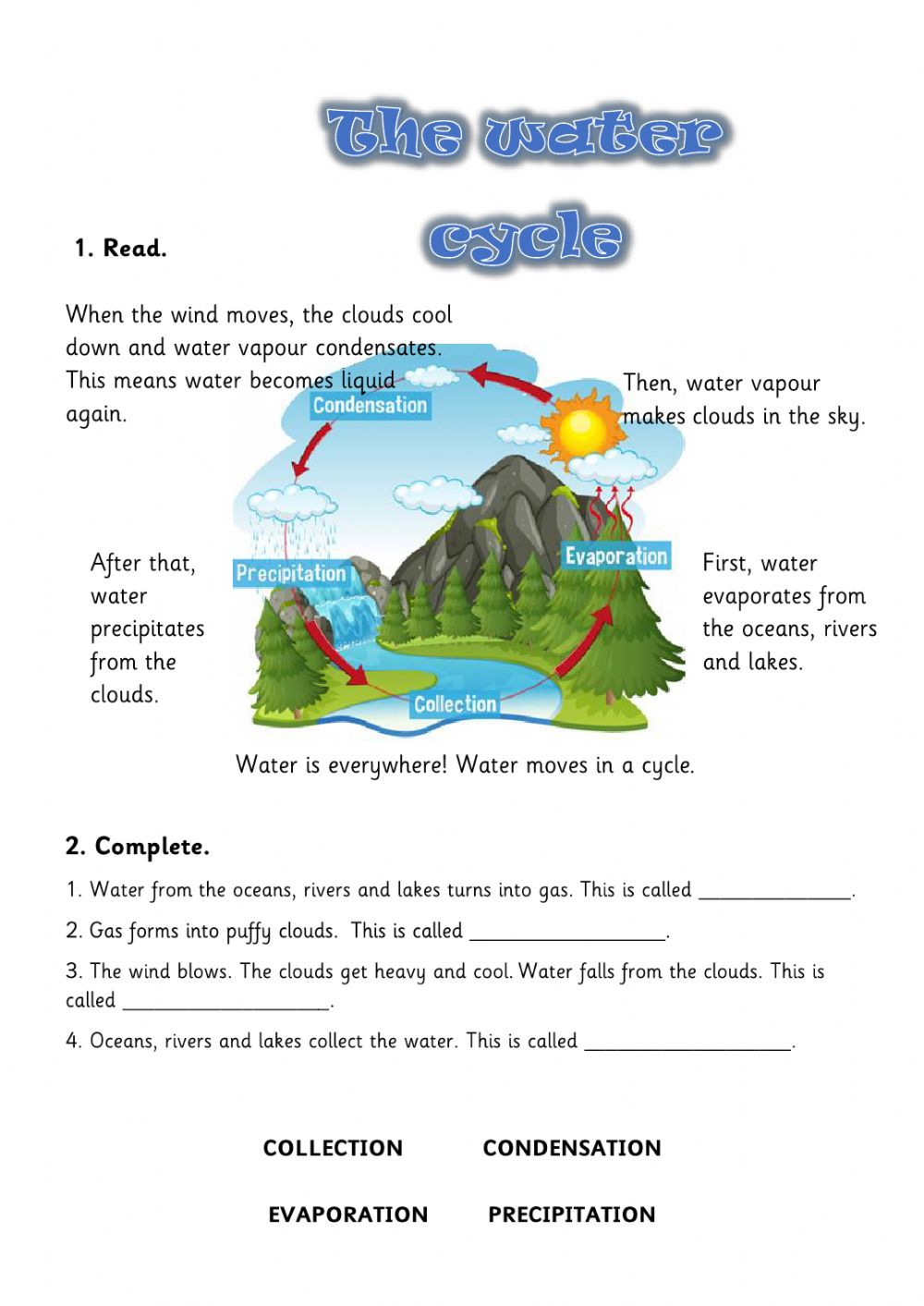 Ficha Interactiva De The Water Cycle