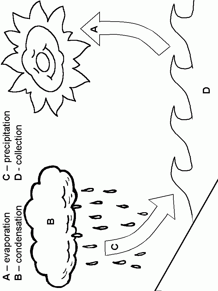 Fichas Sobre El Ciclo Del Agua