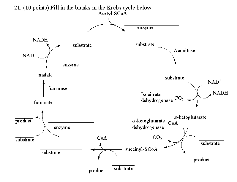 Fill In The Blanks In The Krebs Cycle Below Chegg