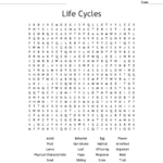 Flowers And Their Life Cycles Worksheet Answer Key Best Flower Site