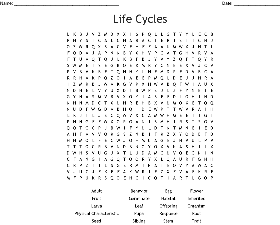 Flowers And Their Life Cycles Worksheet Answer Key Best Flower Site