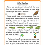 Flowers And Their Life Cycles Worksheet Answer Key Best Flower Site