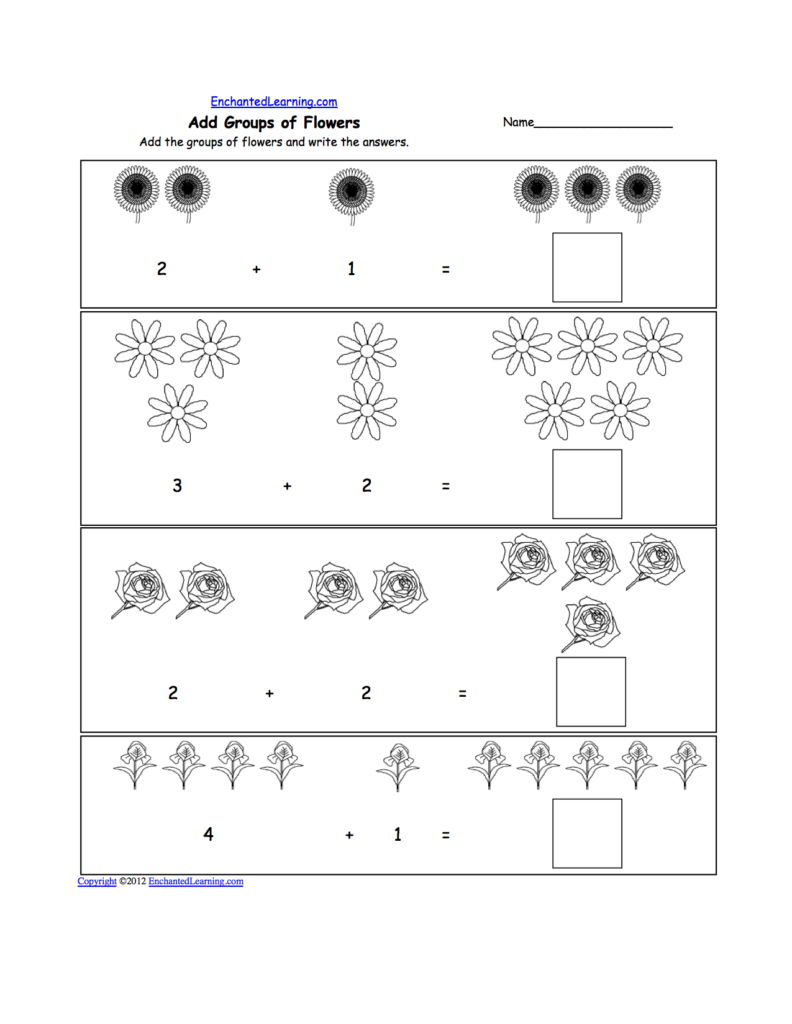 Flowers And Their Life Cycles Worksheet Answer Key Best Flower Site