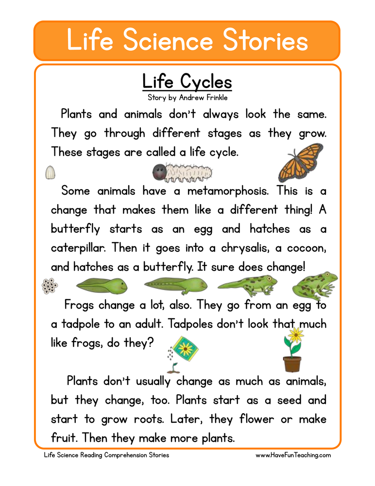 Flowers And Their Life Cycles Worksheet Answer Key Best Flower Site