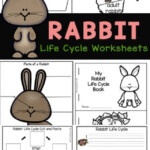 FREE Rabbit Life Cycle Worksheets