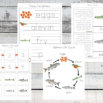 Free Salmon Life Cycle Printable Pack Free Homeschool Deals