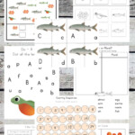 FREE Salmon Life Cycle Worksheets