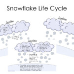 Friday Freebie Snowflake Life Cycle A Moment In Our World