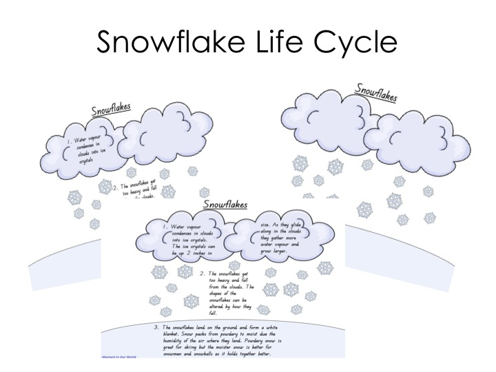 Friday Freebie Snowflake Life Cycle A Moment In Our World