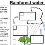 GCSE 9 1 Ecosystems And Rainforests By ReallyGoodGeography Teaching