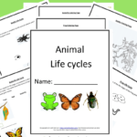 Get Free Printable Animal Life Cycle Worksheets Today