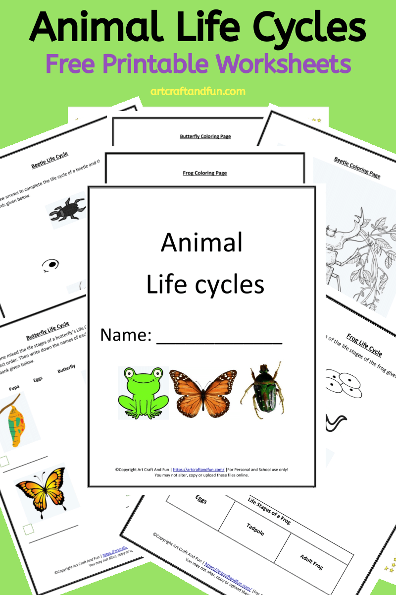 Get Free Printable Animal Life Cycle Worksheets Today 