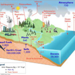 Globe Carbon Cycle