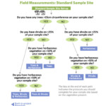 Globe Carbon Cycle